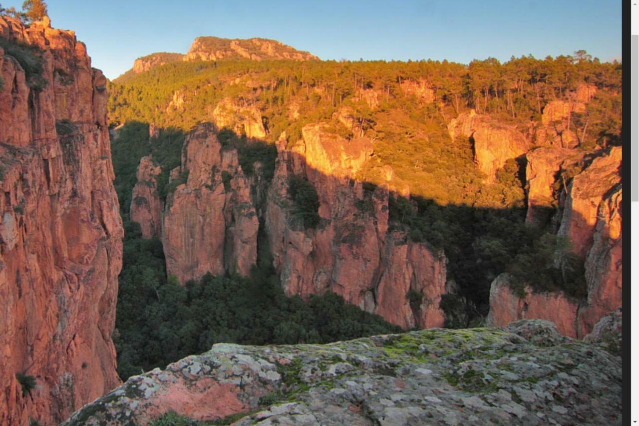 Entre Mer Et Esterel Roquebrune-sur-Argens Exterior photo